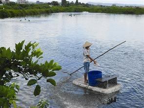 南美白对虾事件爆料最新,真相揭露与行业反思