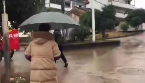 金华爆料的小女孩视频,温馨瞬间传递社会正能量